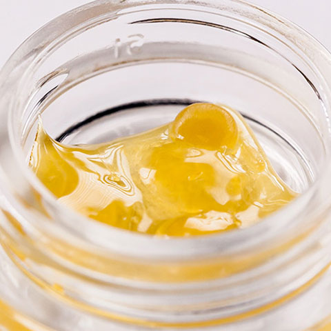 All About Concentrates: Live Resin, Shatter and Wax Cannabis