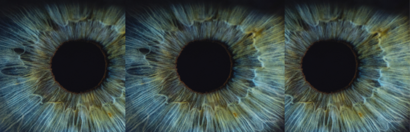 The 4 Main Types of Iris Patterns You Should Know (With Images)