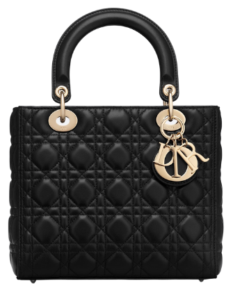 LADY DIOR BAG by DIOR