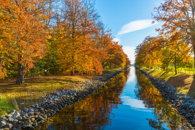 autumn colors