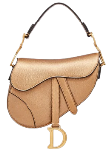 SADDLE BAG by DIOR