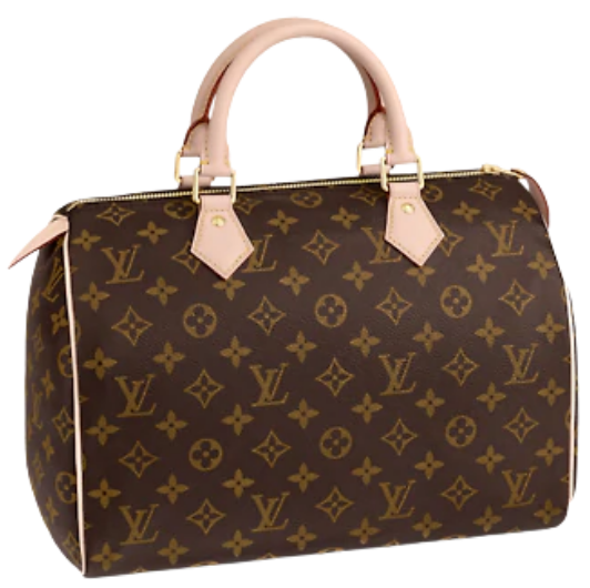 SPEEDY by LOUIS VUITTON