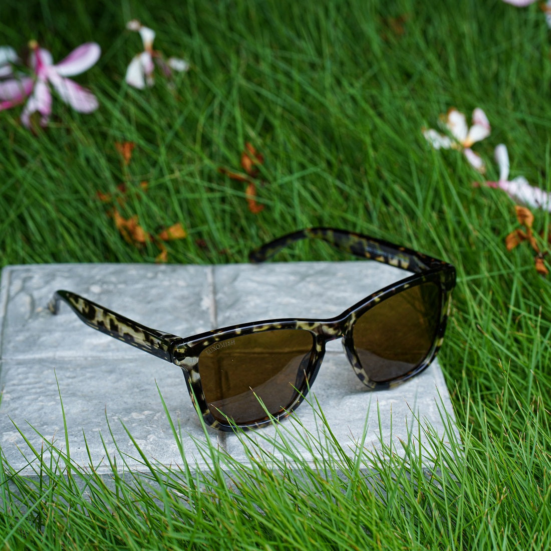 Buy Men's Gucci Sunglasses 88083 transparent black (SW2396)