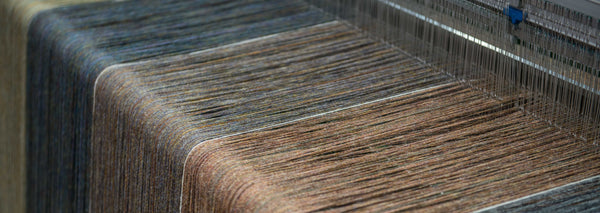 Warp Threads on the Loom