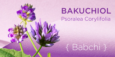 Bakuchiol flower