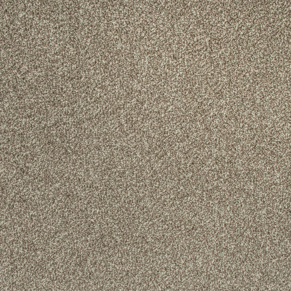 Dusky Brown Missouri Saxony Carpet - Online Carpets product image