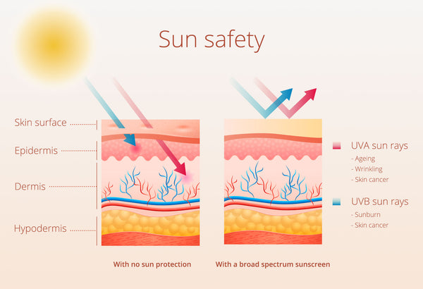 Sun safety infographic