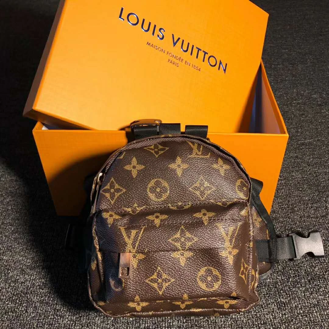 Reeeallly?The Louis Vuitton Inspired Doggie Bag