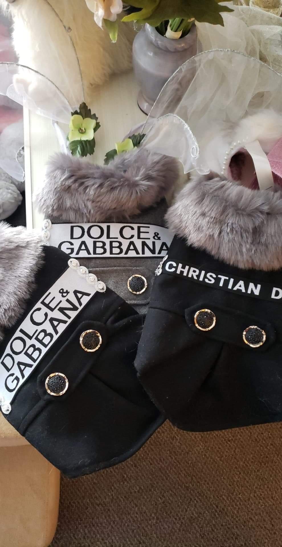 dior dog clothes