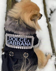 dolce and gabbana dog dress