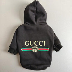 gucci dog hoodie