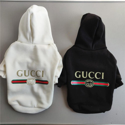 gucci outfit for dogs