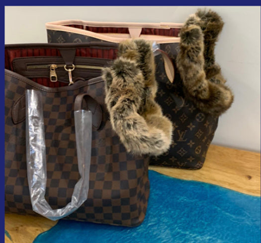 Louis Vuitton Inspired Dog Harness + Leash Set – Chloe’s Cozy Collection