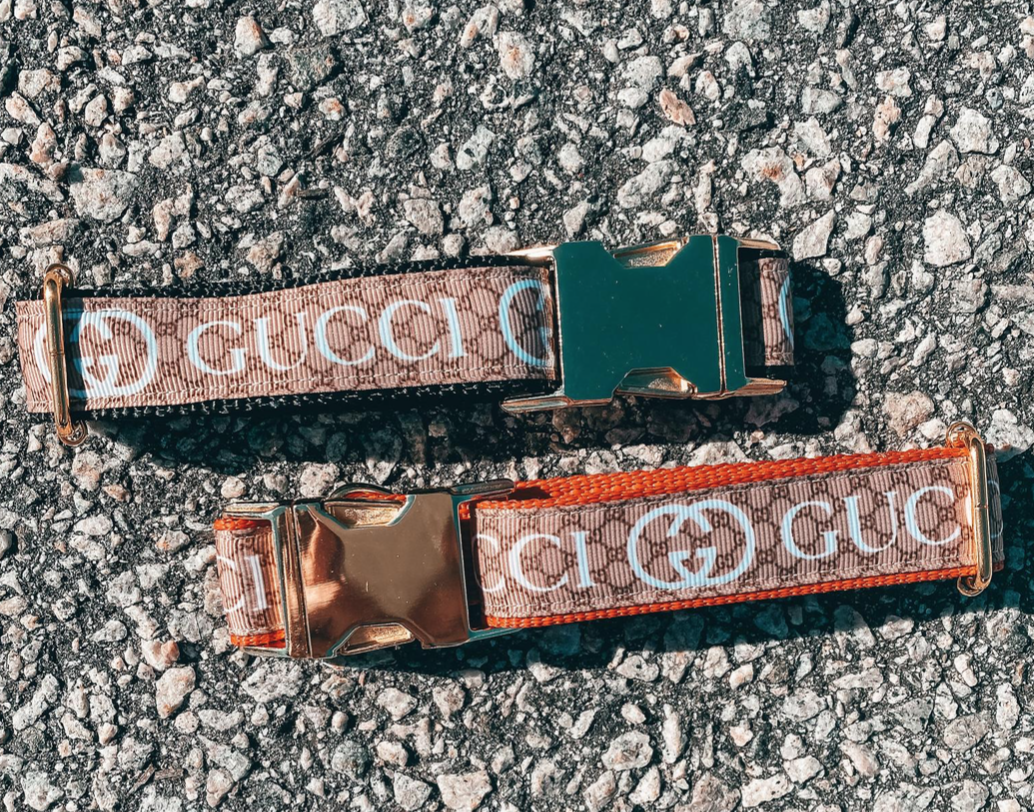 designer dog collars gucci