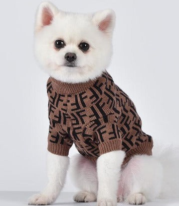 designer dog hoodie