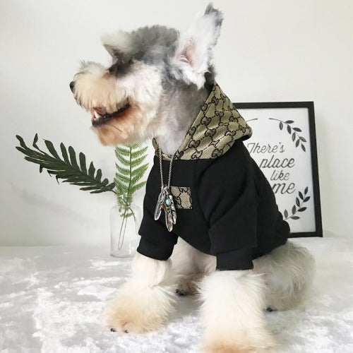 gucci dog sweatshirt