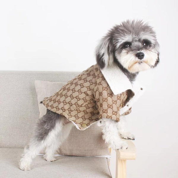 designer dog coats gucci