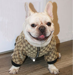 gucci dog coat