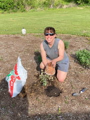 Skitopel all-natural mint and herb planting