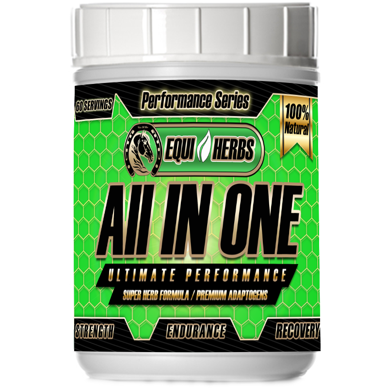 All in One Ultimate horse supplement