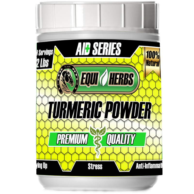 Equi-Herbs Turmeric Powder