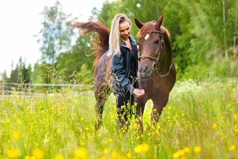 young woman feeding her adult horse standing in a field