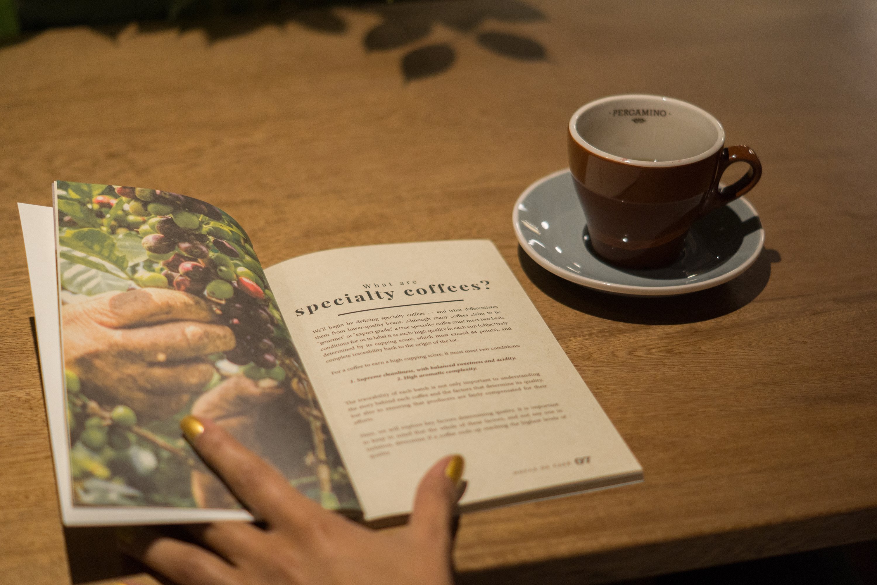 Notas de Café Booklet – PERGAMINO North America