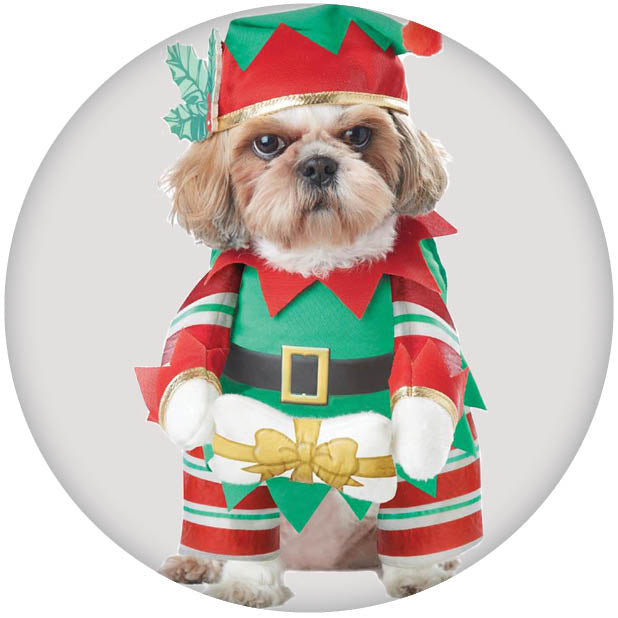 Shop Dog Christmas Costumes | Cat Christmas Costumes | Dog Elf Costumes