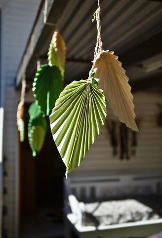 Paper Palm Leaf Decorations