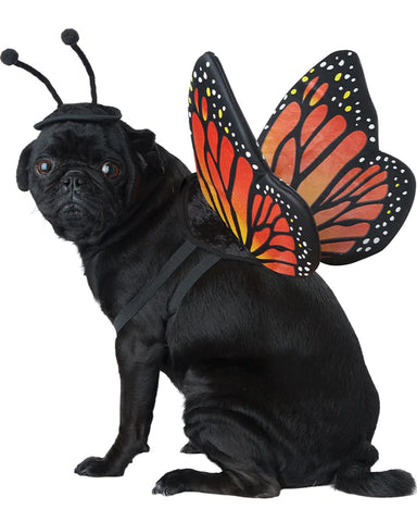 Monarch Butterfly Pet Costume