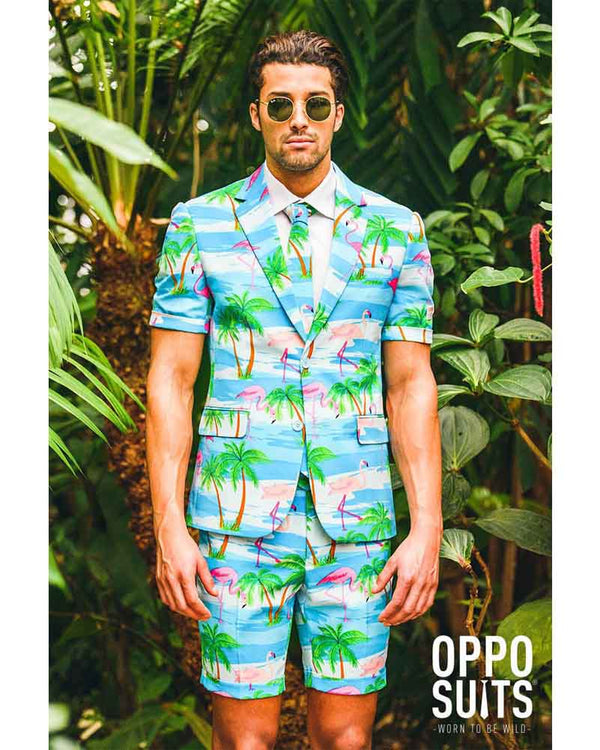 flamingo short suit