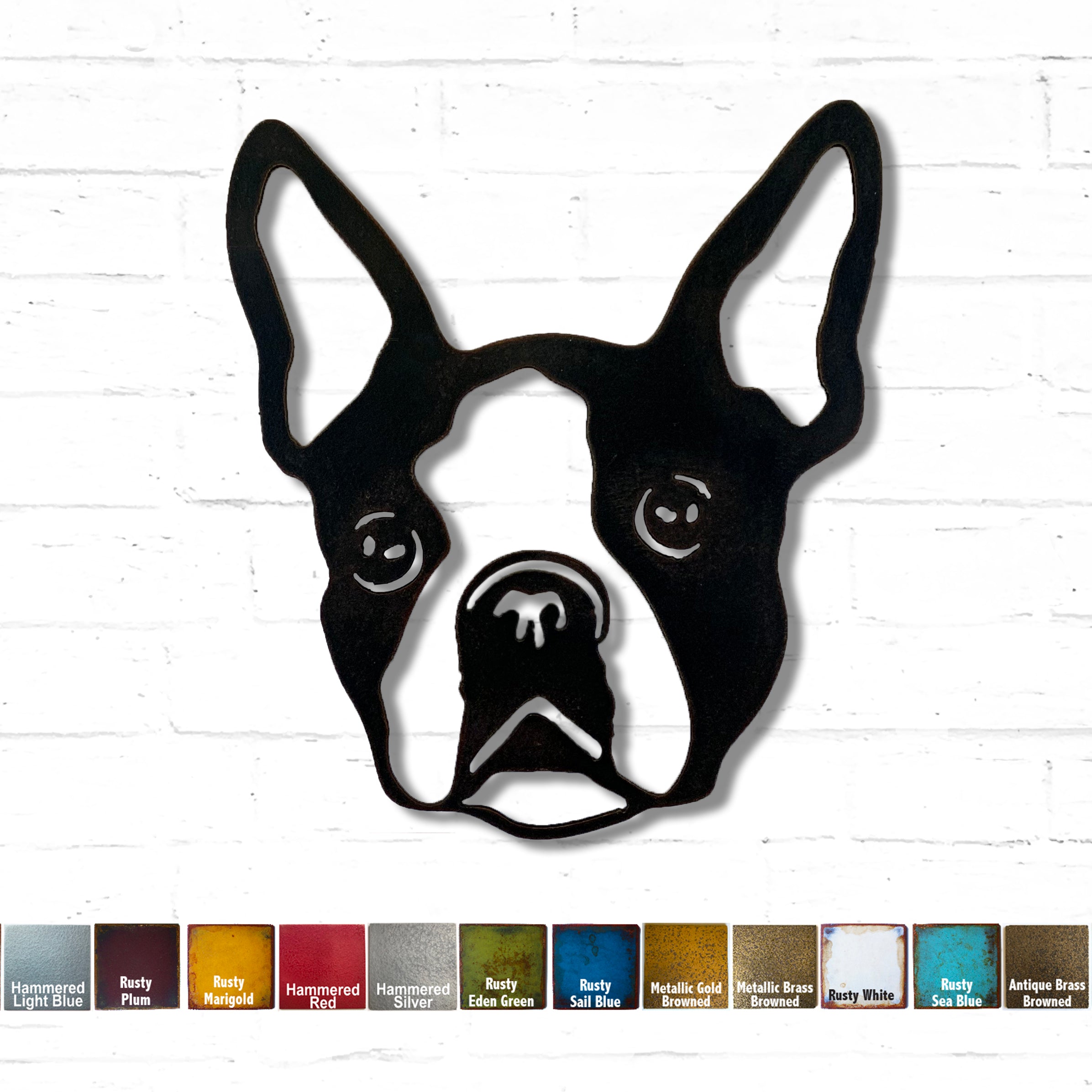 what colors are boston terriers