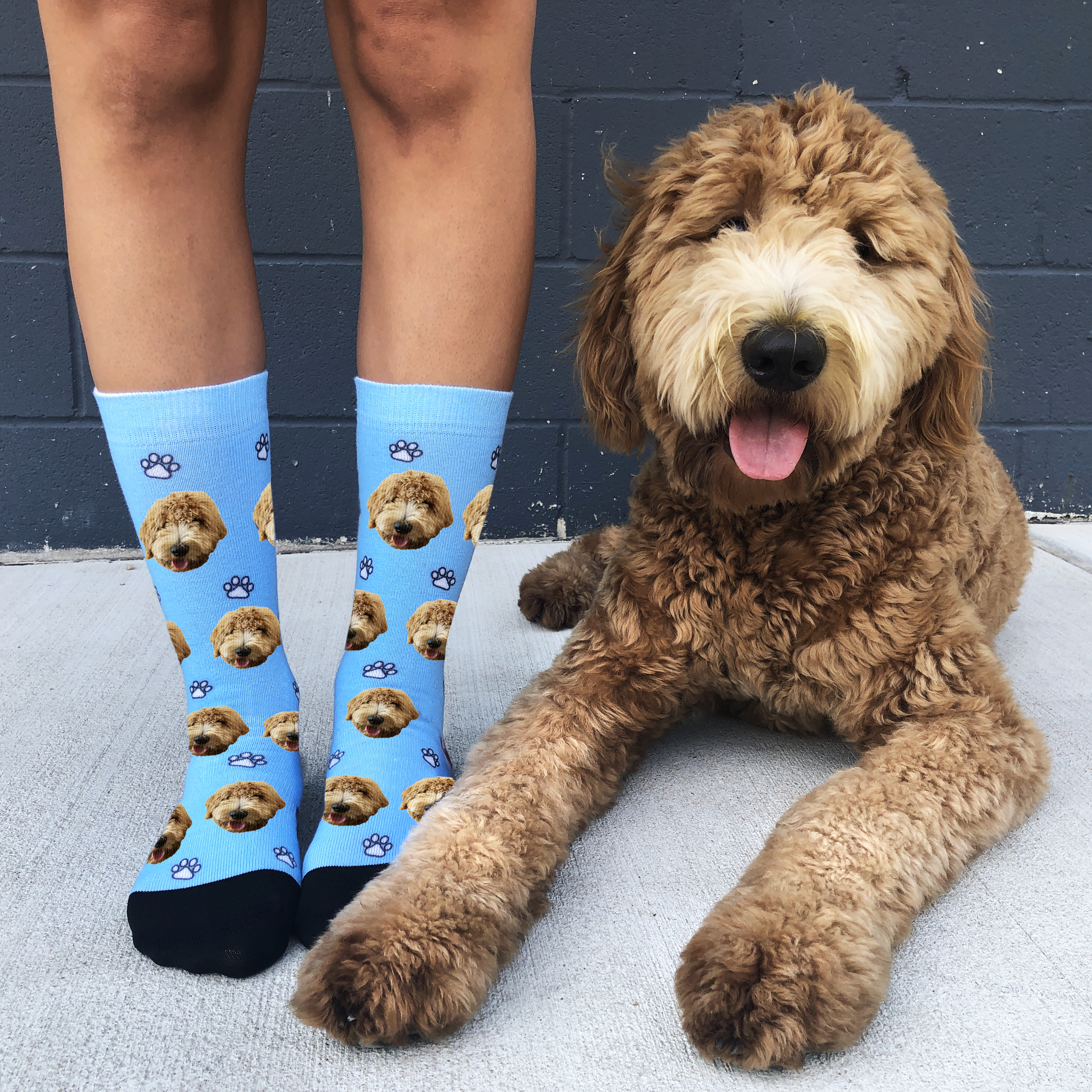 The Story Behind Our Dog Socks Sock Club Design Lab