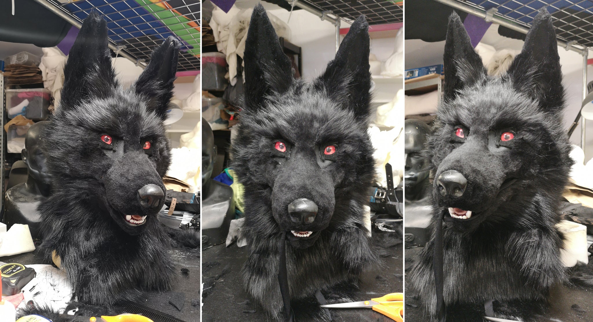 Progress on my black wolf fursuit head commission. the wolfs head is fully furred and shaved, ready for the final details