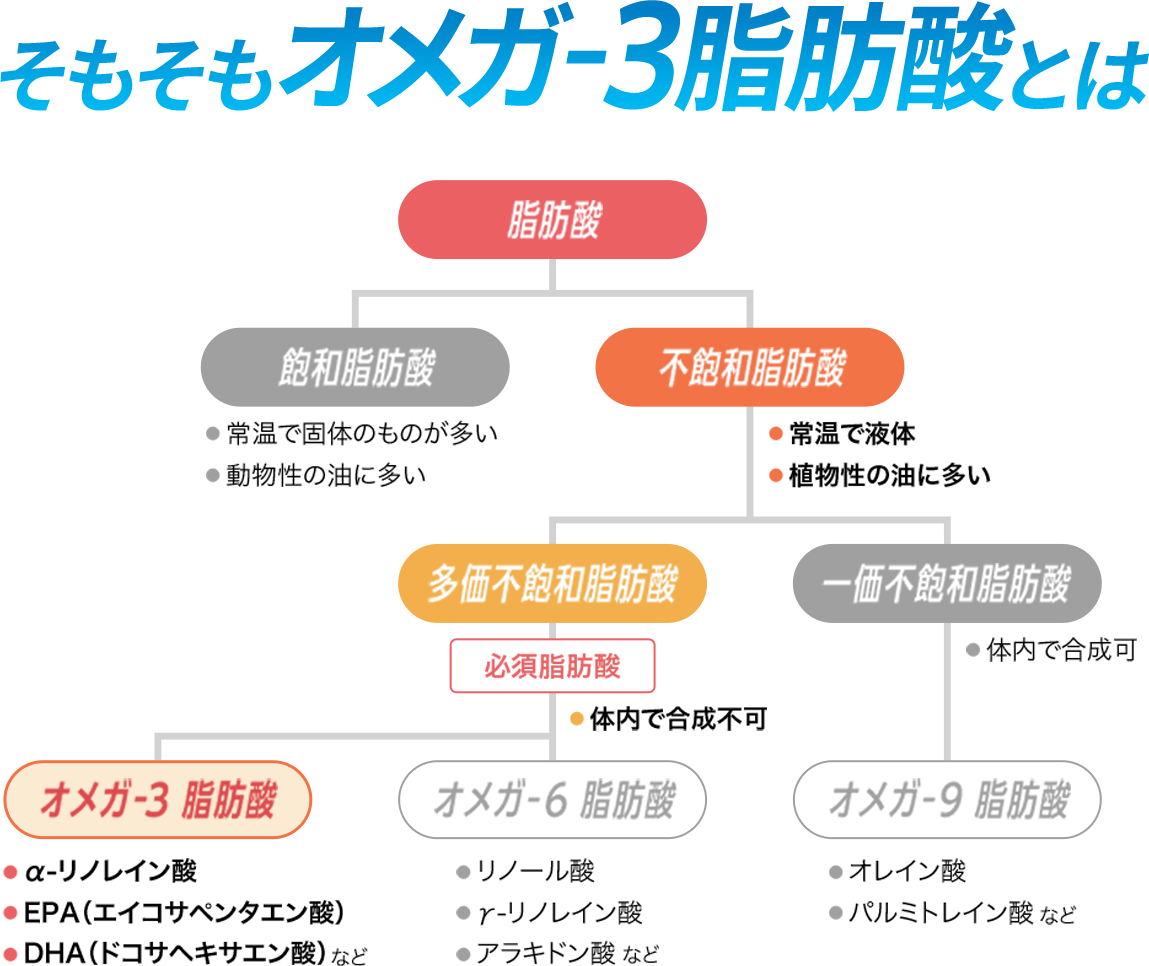 オメガ 3 脂肪酸