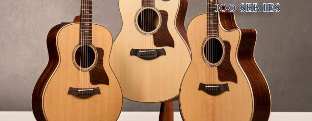 Taylor Guitars The 100 Series