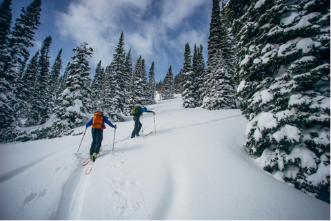 backcountry skiing