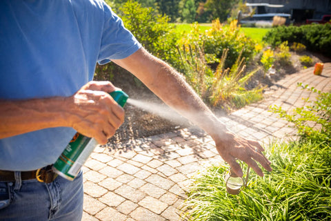 diy bug spray