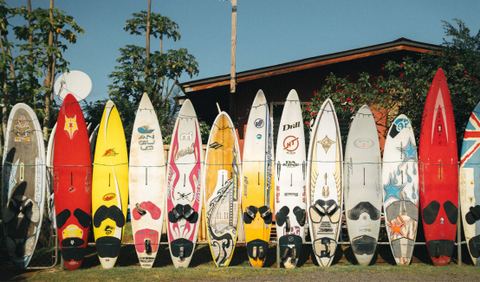 Paddle Board