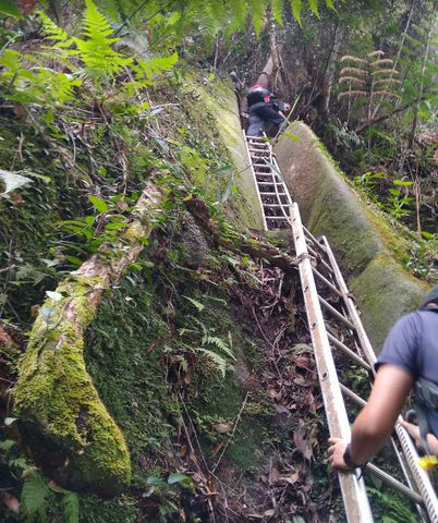 Ini ialah satu checkpoint di mana pendaki perlu gunakan bantuan tangga untuk atasi laluan yang sukar di Mount Ophir (Gunung Ledang).