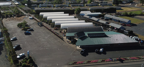 The 6-acre garden center in Woodburn | Plant Store