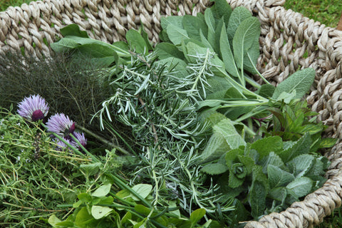 abundant herbs