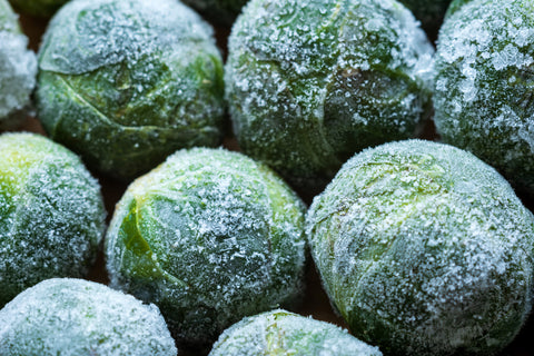 frost on brussel sprouts