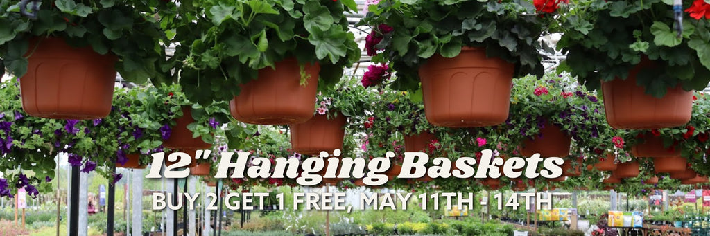 als garden and home hanging baskets