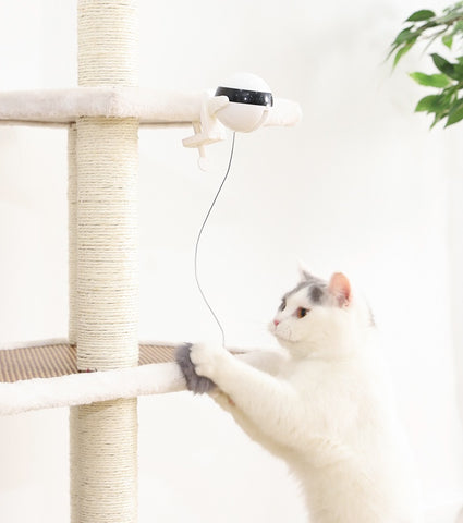 Wow Jewelry Shop Electronic Motion Cat Toy