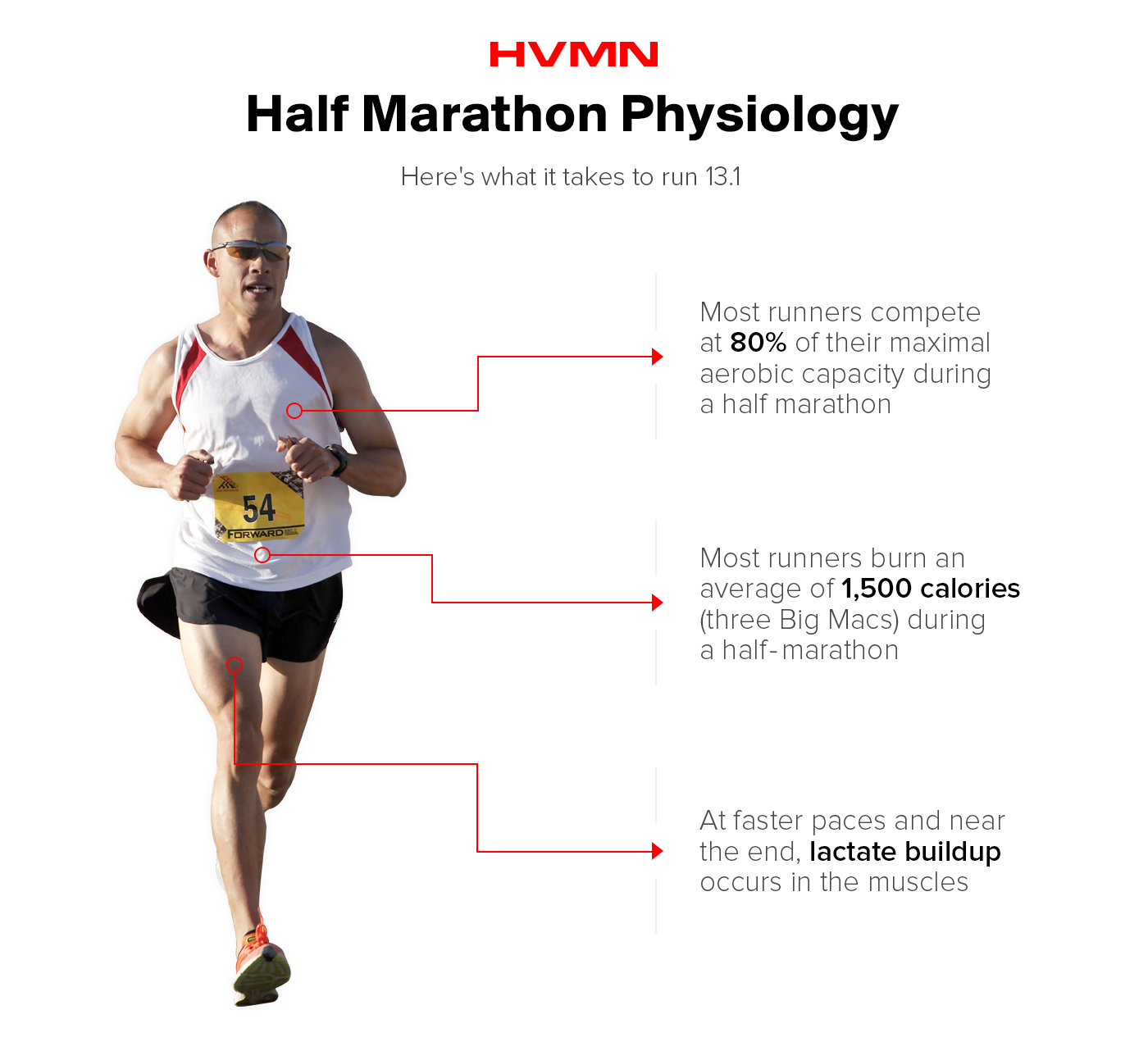 A man running, with arrows pointing to different parts of his body to show the physiology of running a half marathon