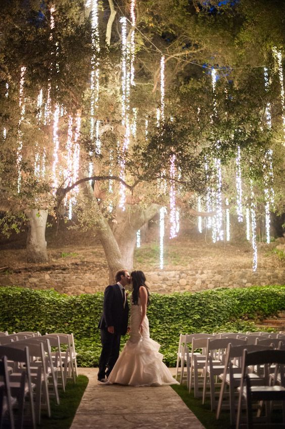 Twinkle Lights in Trees | Decorating a Wedding With Twinkle Lights | My Wedding Favors
