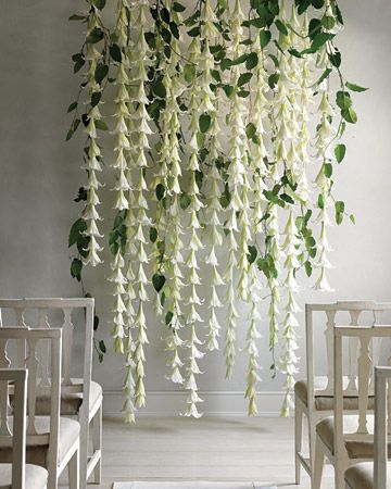 White Lily Backdrop | Ruffled