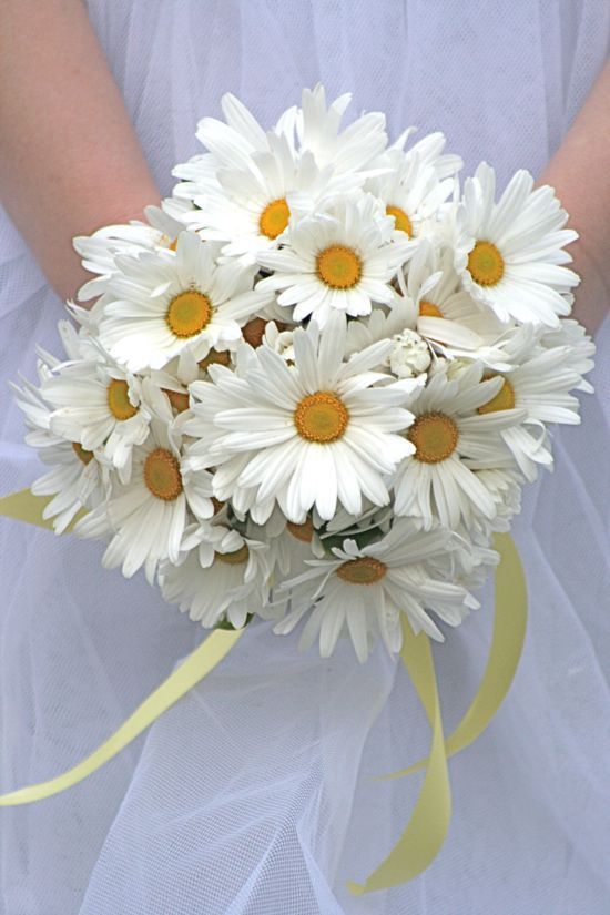 Daisies | 7 Summer Wedding Bouquets | My Wedding Favors