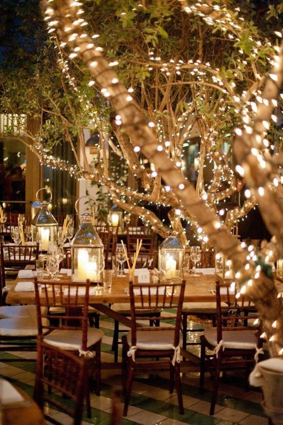 Twinkle Lights Around Trees | Decorating a Wedding With Twinkle Lights | My Wedding Favors
